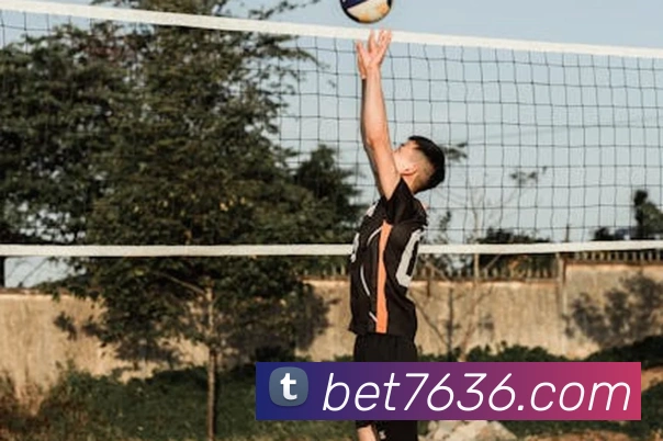bet365com平台生态图